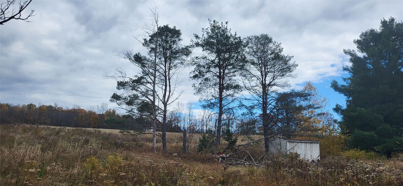 Property Photo:  270 Lewis Street  NY 13760 