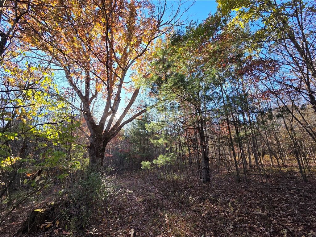 Property Photo:  147 Clark Hollow Road  NY 14871 
