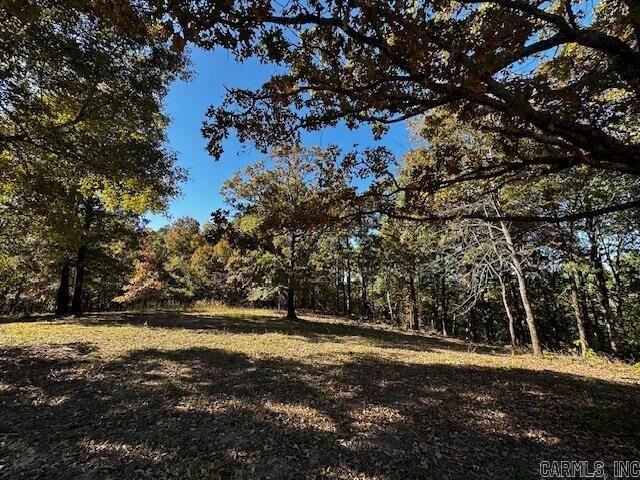 Property Photo: Bear Mountain Road AR 72067