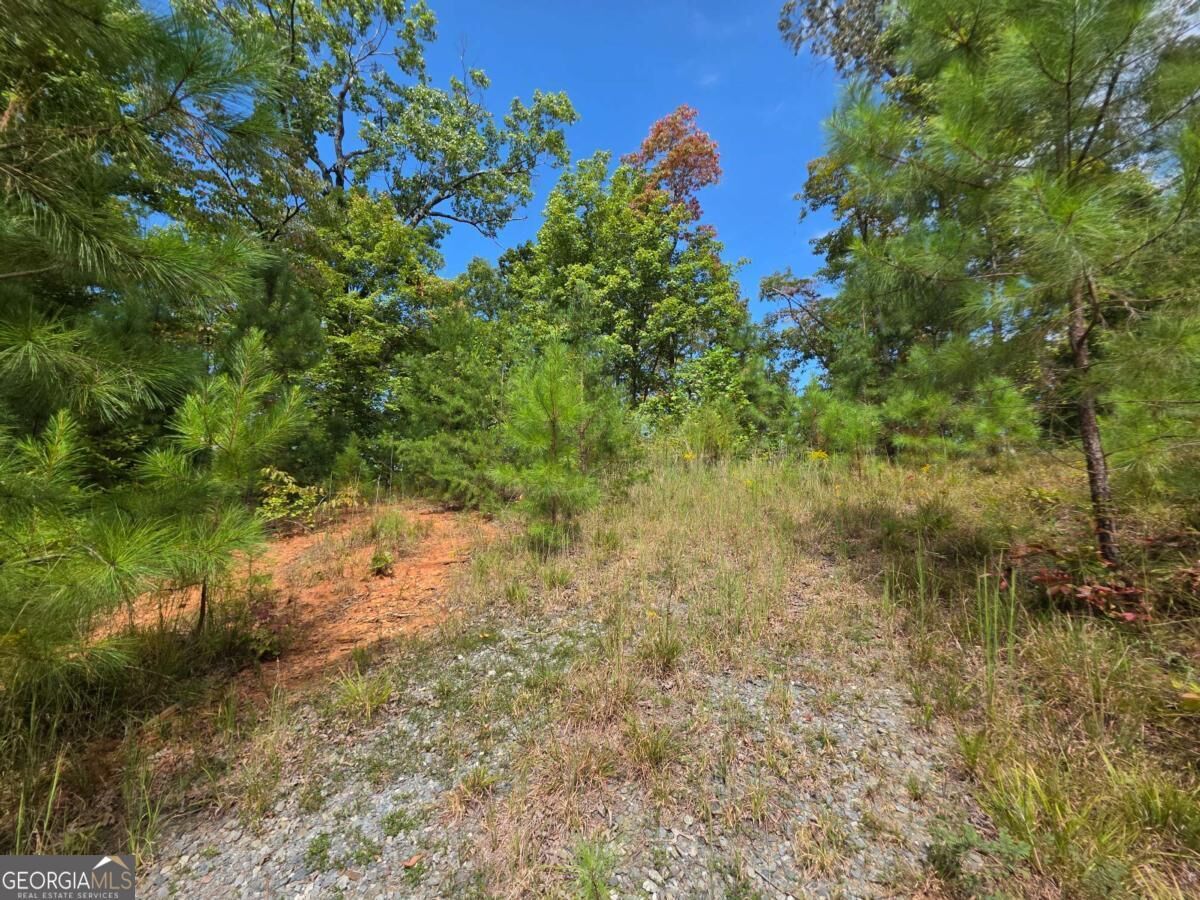 Property Photo:  1077 Harris Creek Drive  GA 30540