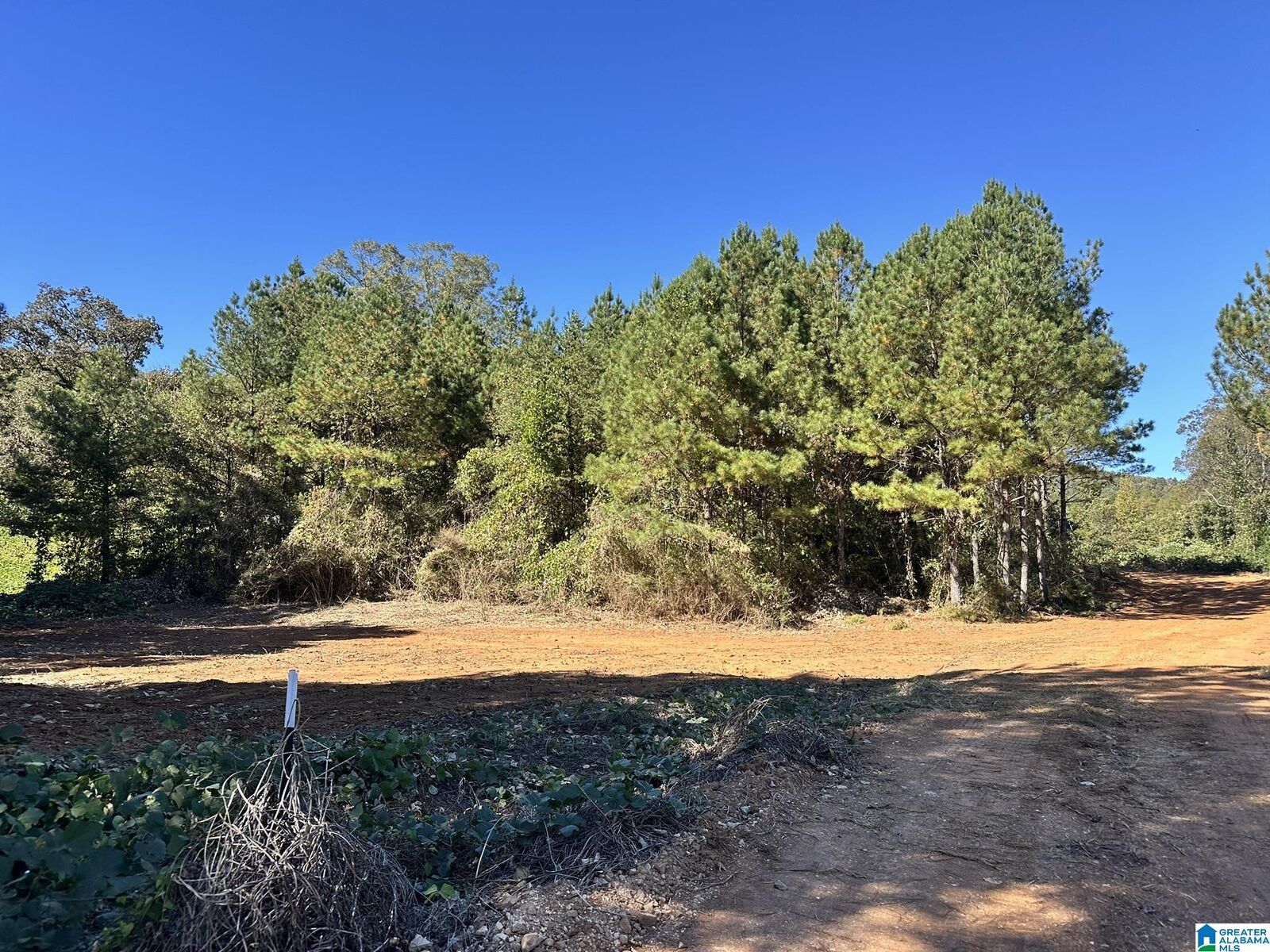 Property Photo:  0 Rabbittown Road 0  AL 36272