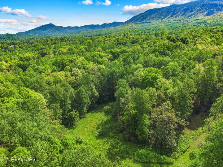 Property Photo:  County Line Rd  TN 37725 