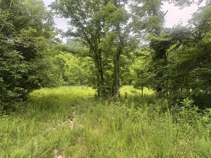 Property Photo:  500 Hail Bridge Road  KY 42501