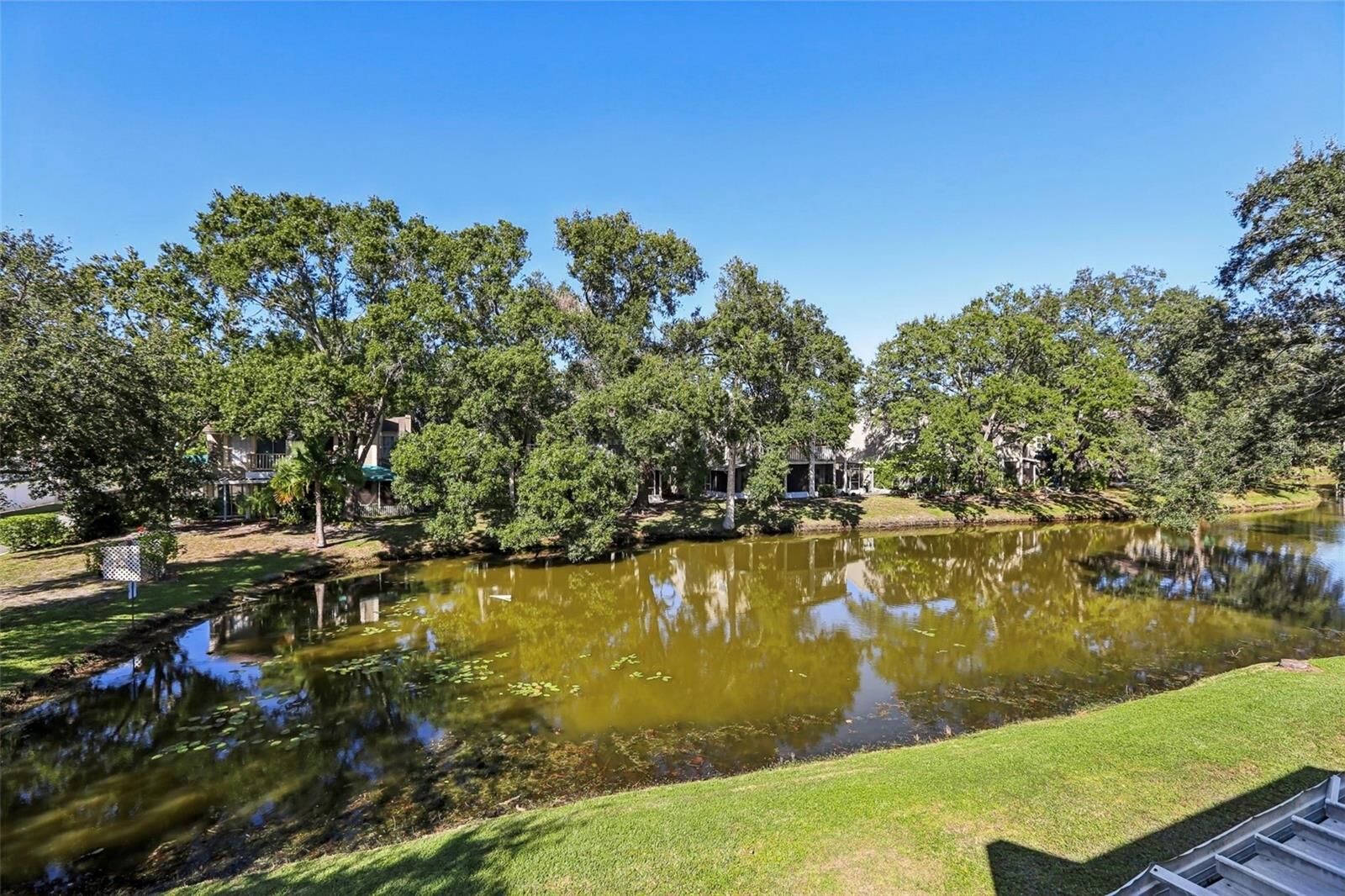 Property Photo:  6935 Lake Place Court 6935  FL 33634 