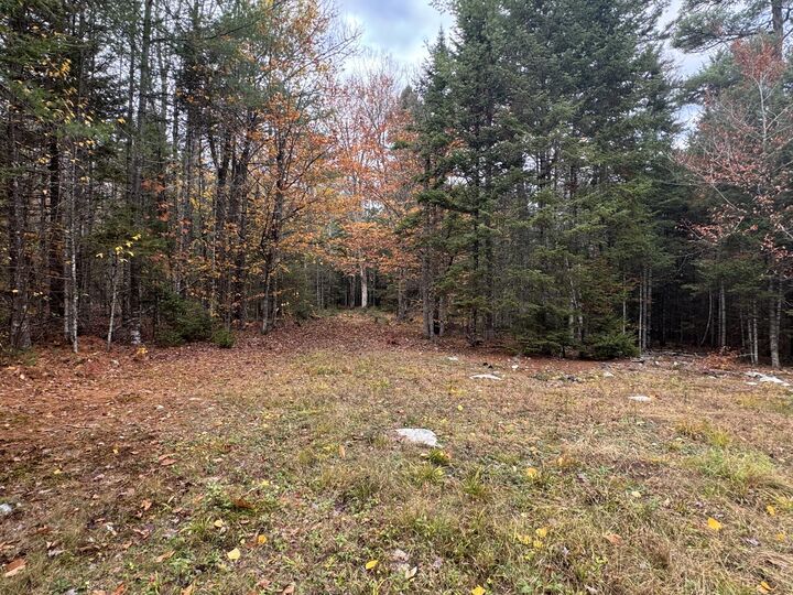 Property Photo:  14 Vinegar Hill Road  ME 04493