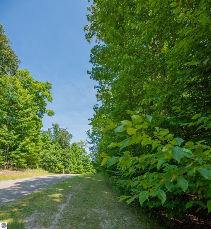 Property Photo:  Lot 165 Forest Highlands  MI 49615