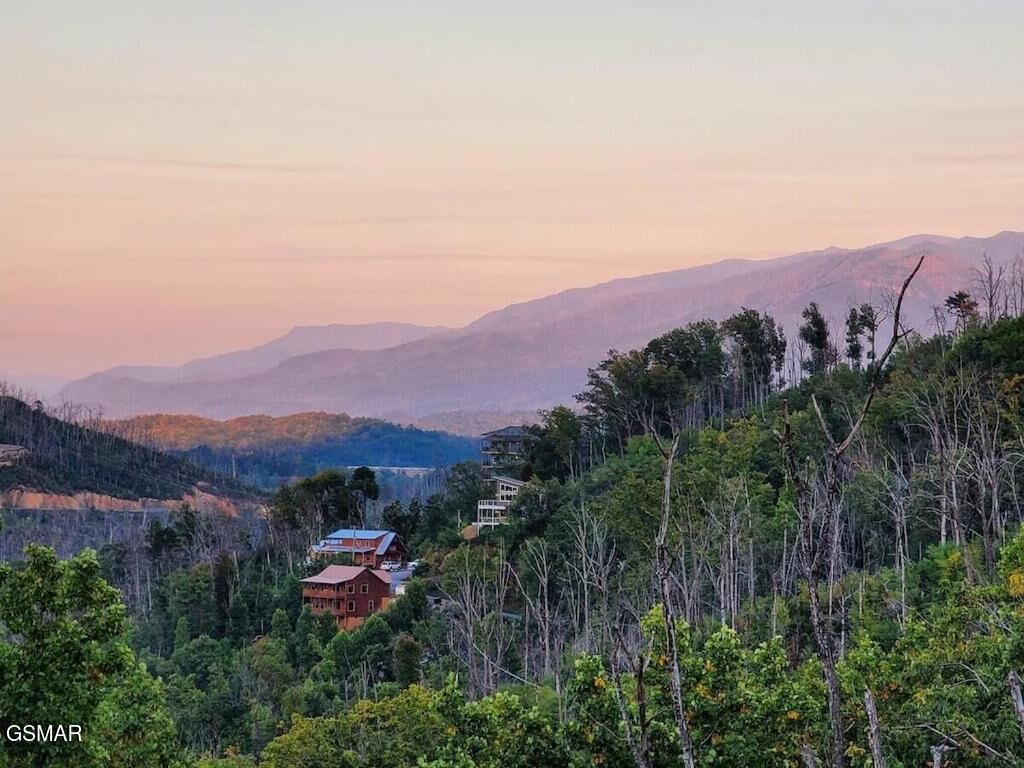 Property Photo:  605 Wiley Oakley Drive  TN 37738 