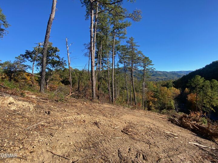 Property Photo:  2947 Indigo Lane  TN 37862 