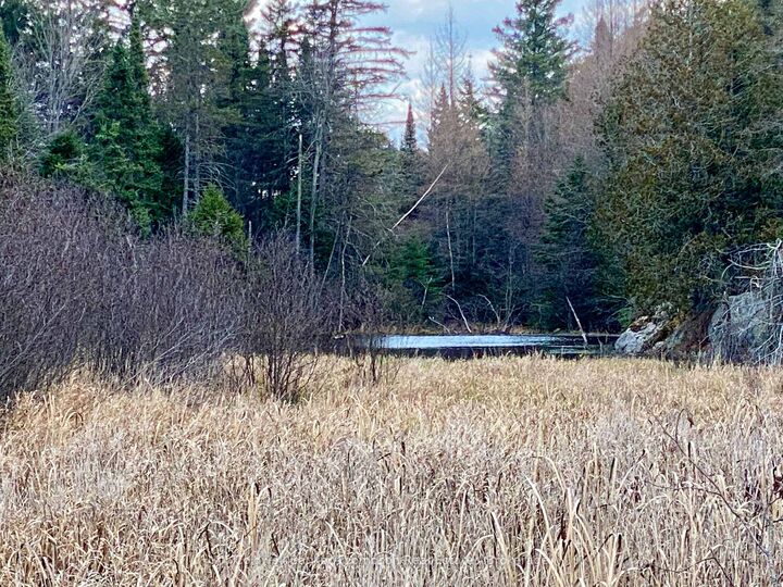 Property Photo:  Lot 0-B Legrou's Lake Road  ON P0H 1A0 