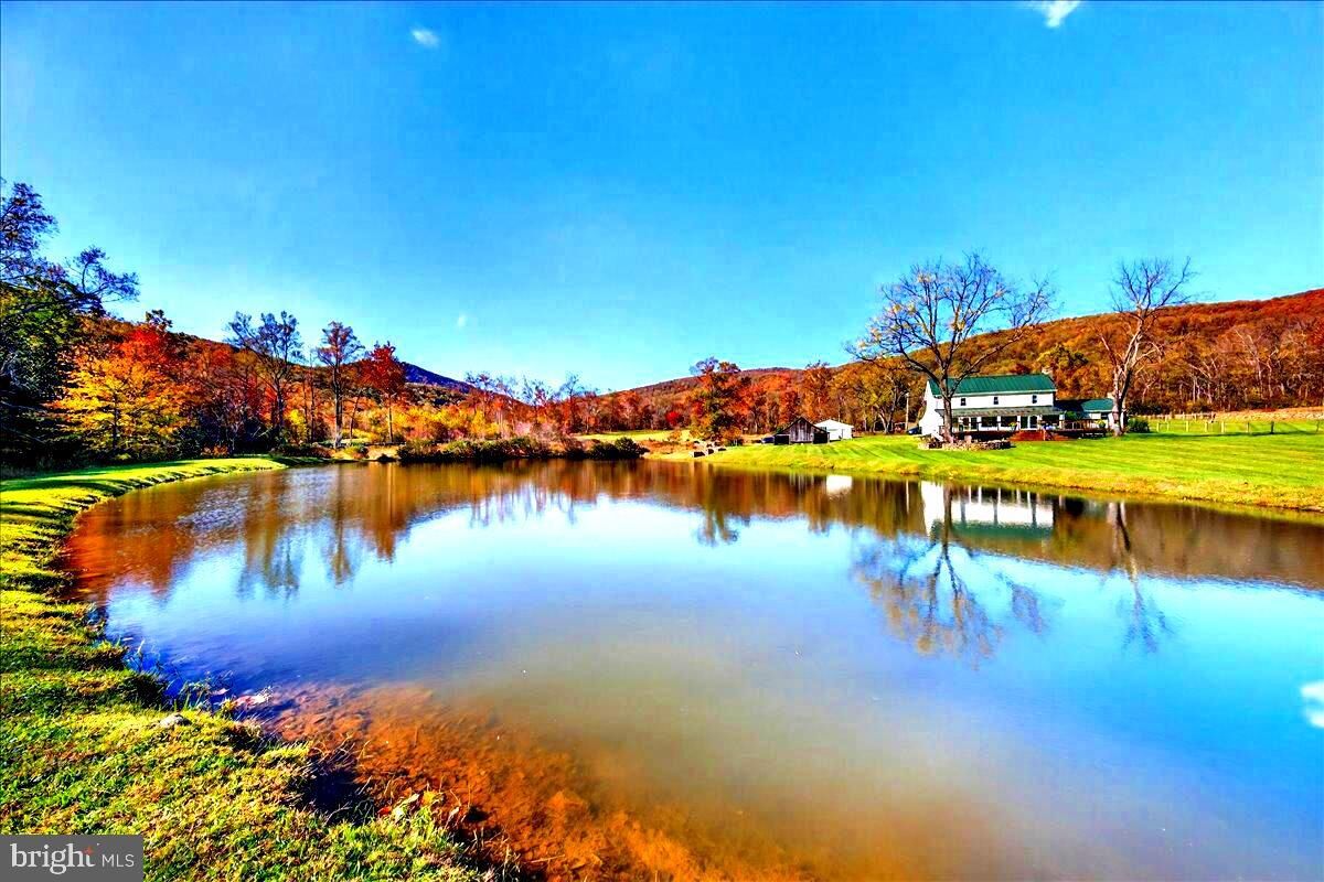 Property Photo:  290 Riley Hollow Road  VA 22640 