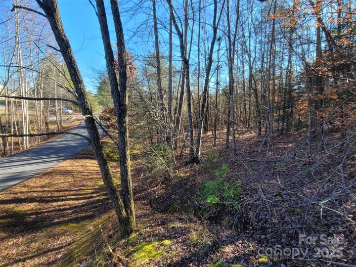 Property Photo:  0 McOwenben Pass 18  NC 28746 