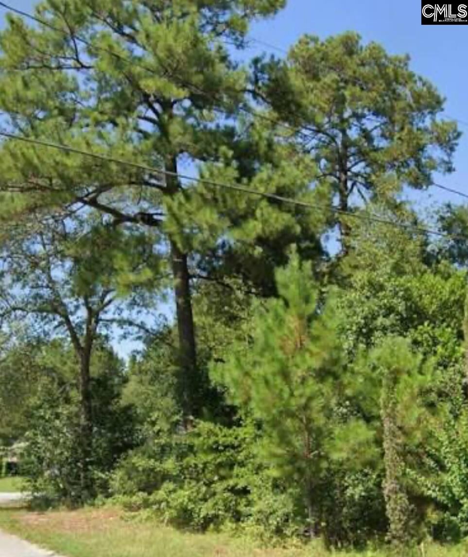 Property Photo: 221 Lloydwood Drive SC 29172