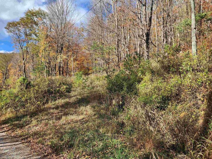 Property Photo:  20 E Meadows Road  WV 26270