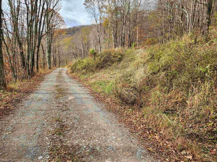 Property Photo: 20 E Meadows Road WV 26270