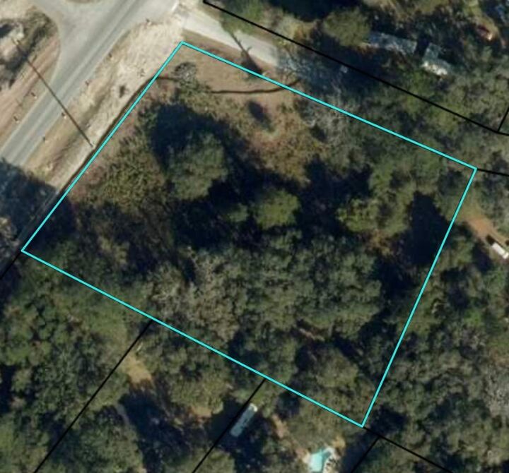 Property Photo:  116 Smith Road  GA 31522 