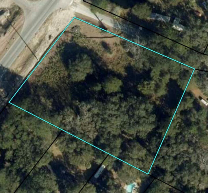 Property Photo:  116 Smith Road  GA 31522 