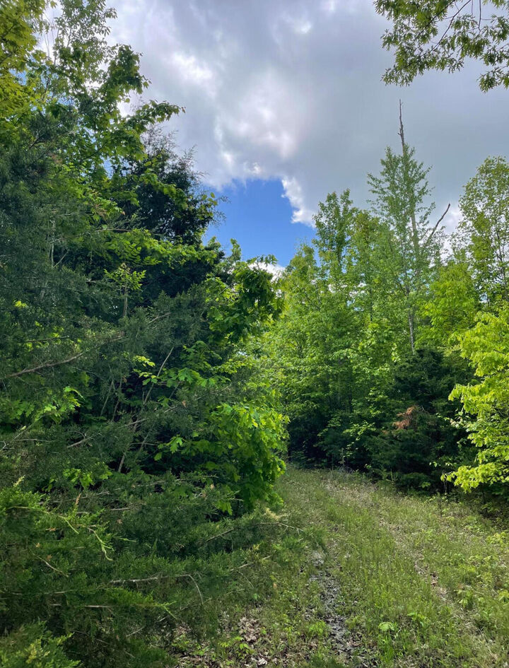 Property Photo:  1407 Denton Phelps Road  KY 42501