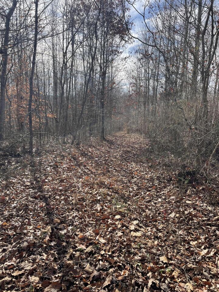 Property Photo:  1407 Denton Phelps Road  KY 42501 