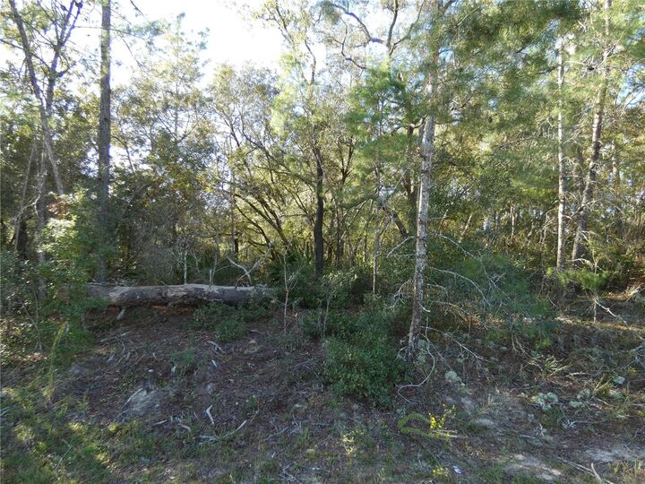 Property Photo:  7809 N Jamaica Drive  FL 34433 