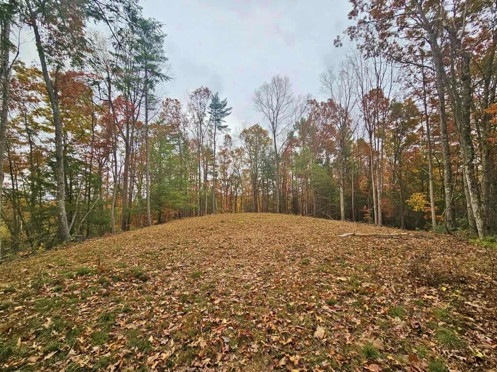 Property Photo:  700 Ellison School Road  WV 25820 