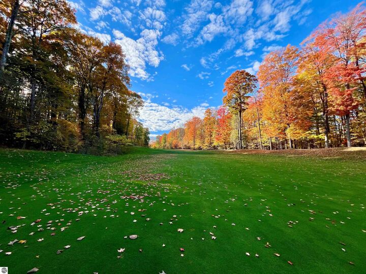 V/L 51 Troon South  Bellaire MI 49615 photo