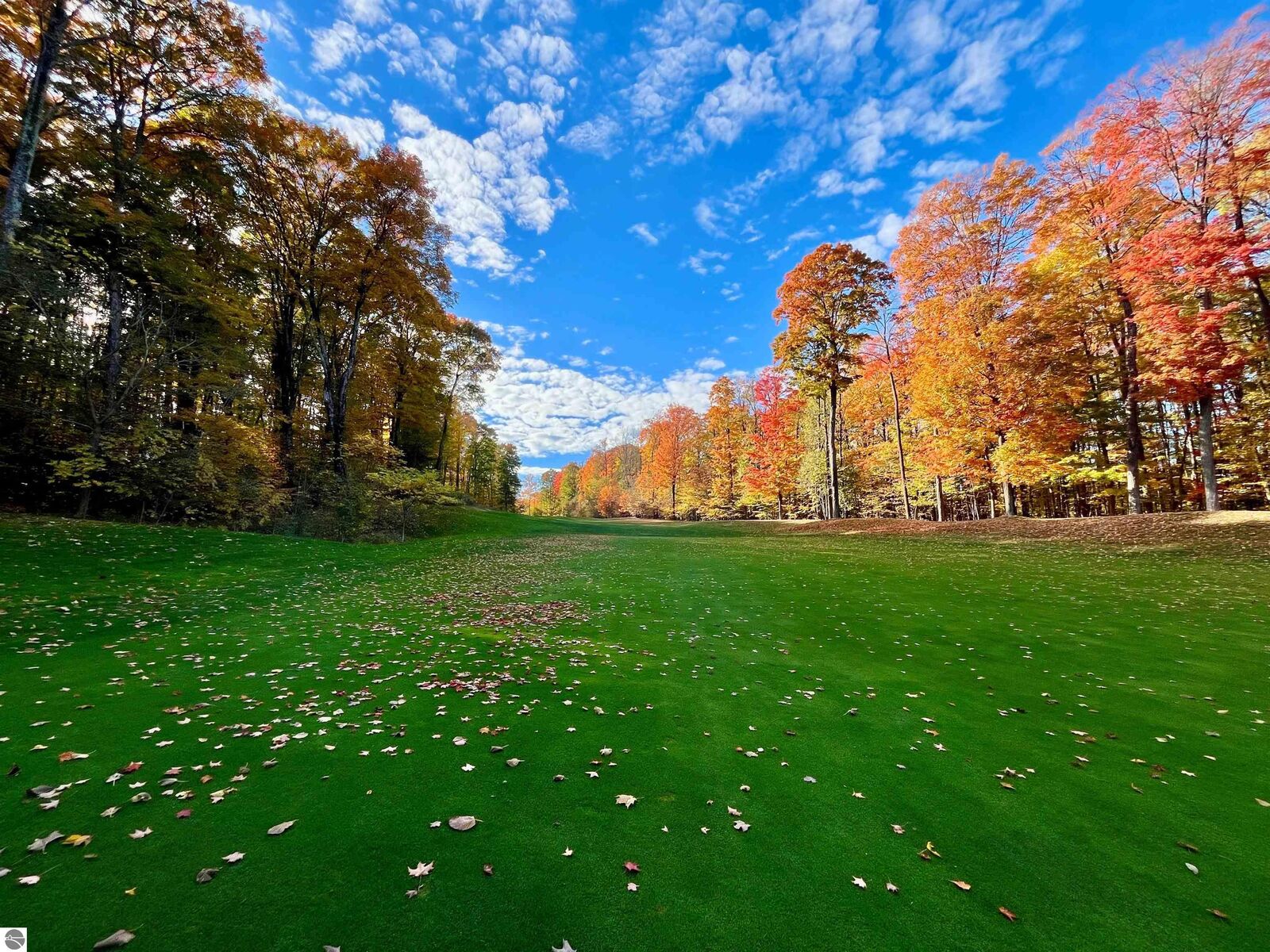 Property Photo:  V/L 51 Troon South  MI 49615