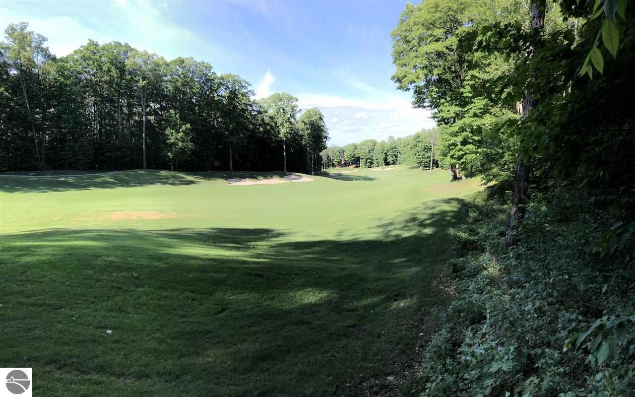Property Photo: V/L 51 Troon South MI 49615