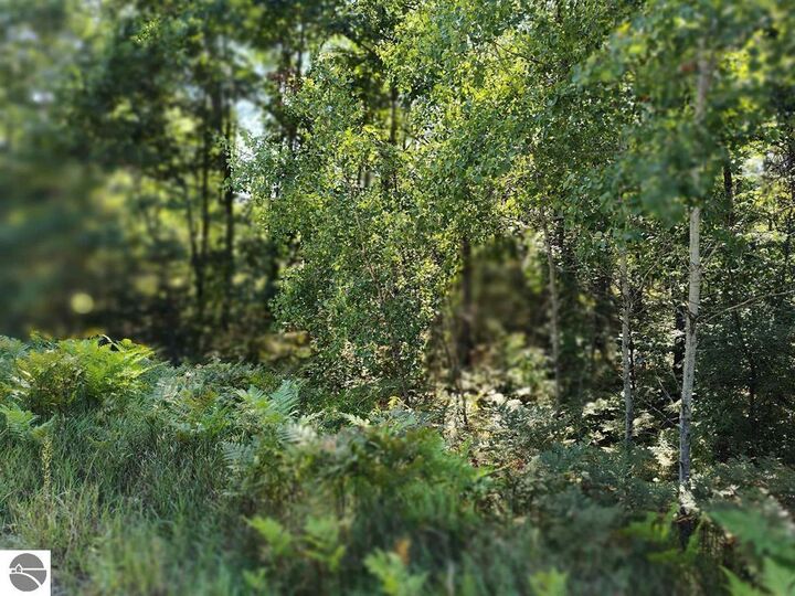 Property Photo:  N Circle E  MI 48622