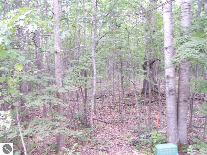 Property Photo:  N Circle E  MI 48622