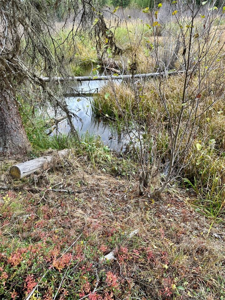 Property Photo:  Nhn Mill Creek Road  MT 59834