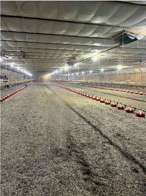 Property Photo: Tbd County Road 3 MN 56340