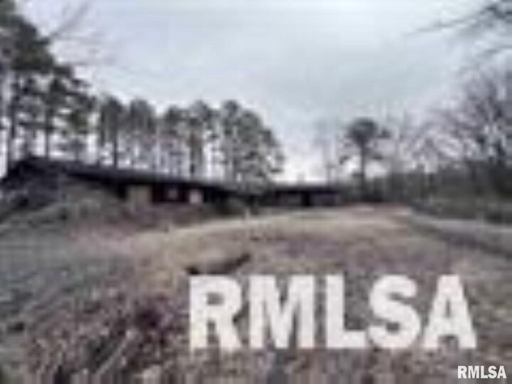 Property Photo:  449 Pine Lane  IL 62966