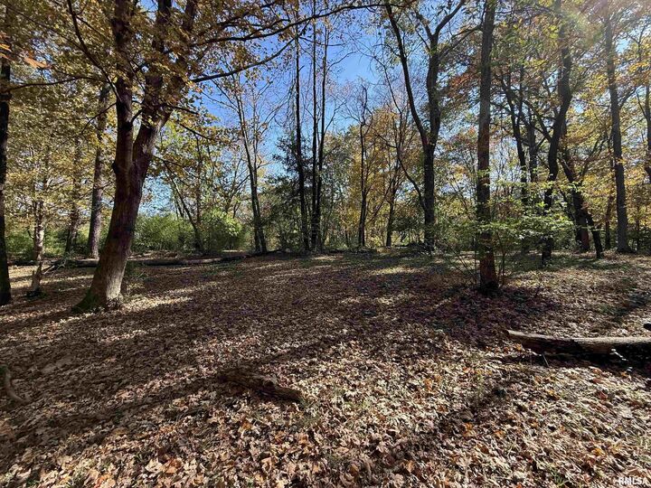 Property Photo:  449 Pine Lane  IL 62966 