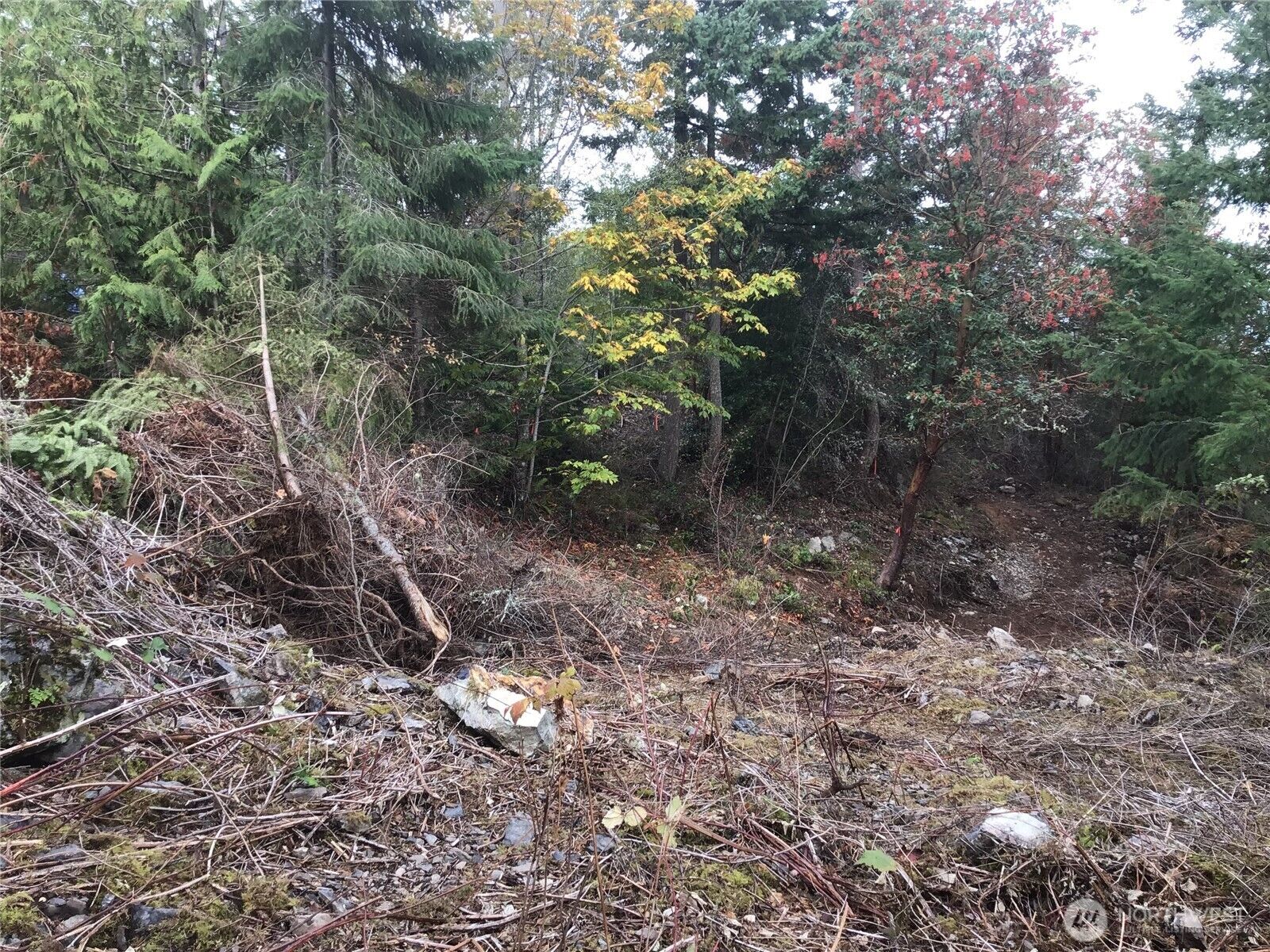 Property Photo:  11939  New Morning Drive  WA 98221 