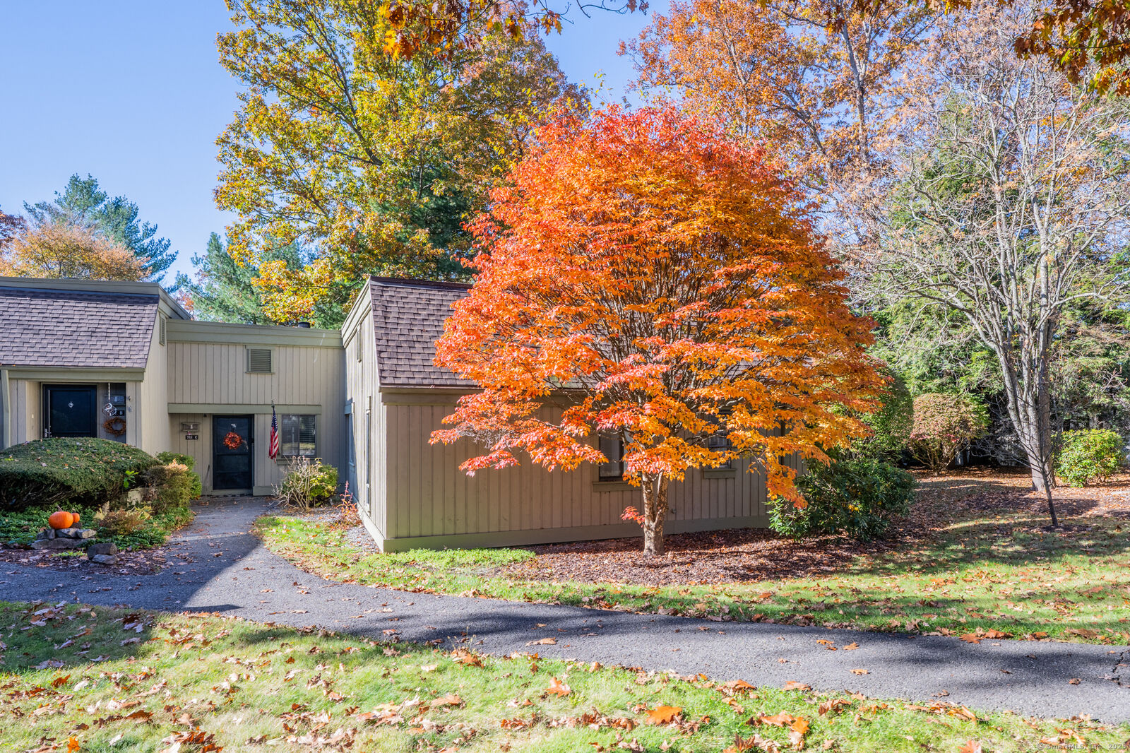 Property Photo:  761 Heritage Village D  CT 06488 