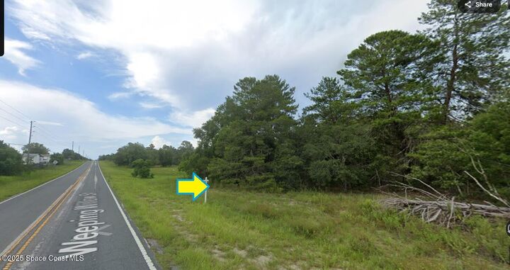 Property Photo:  0 Weeping Willow Street  FL 34613