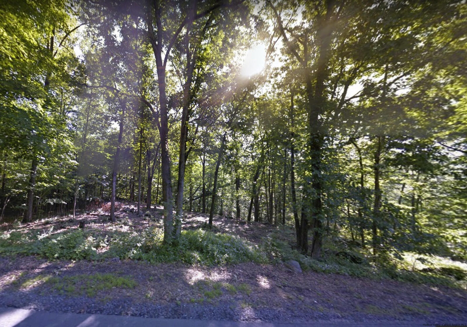 Property Photo: Tbd Hawleys Corners NY 12528