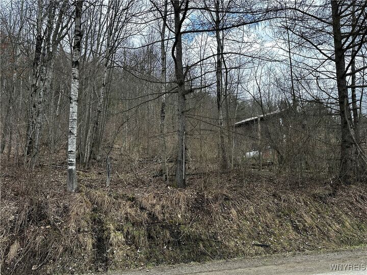 Property Photo:  Porter Hollow Road  NY 14741 