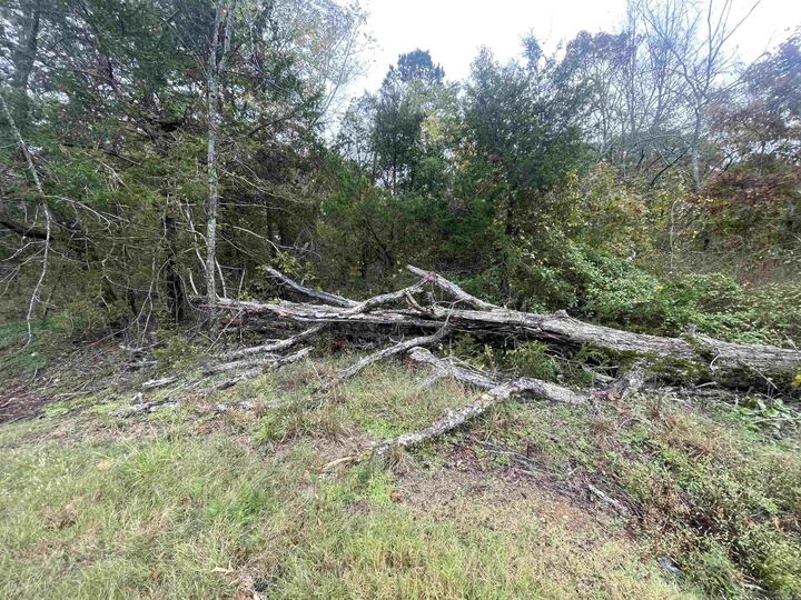 Property Photo: 000 Prim Rd. AR 72130