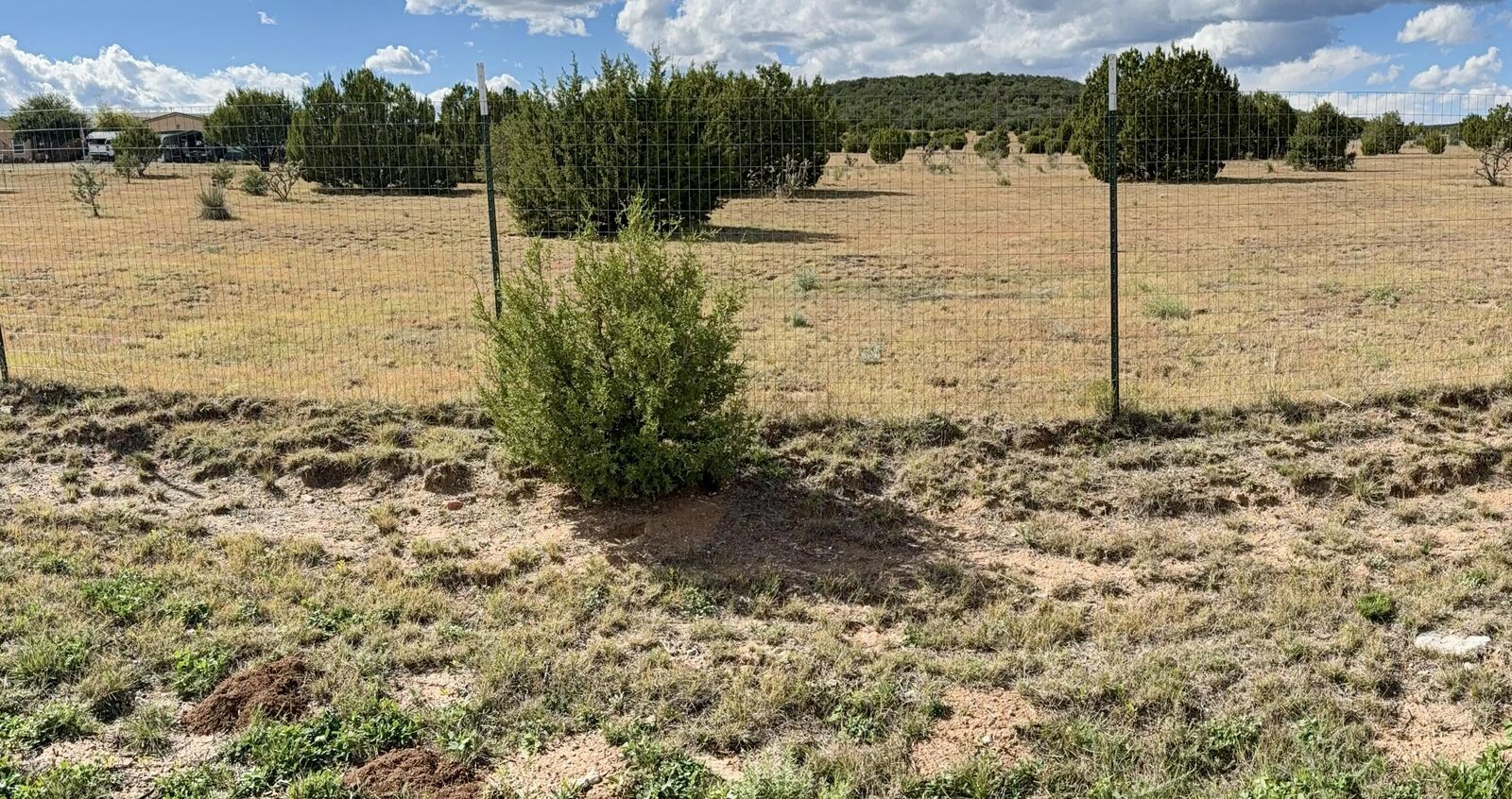 Property Photo:  Lot 43/A-1 Casper Court  NM 87035 