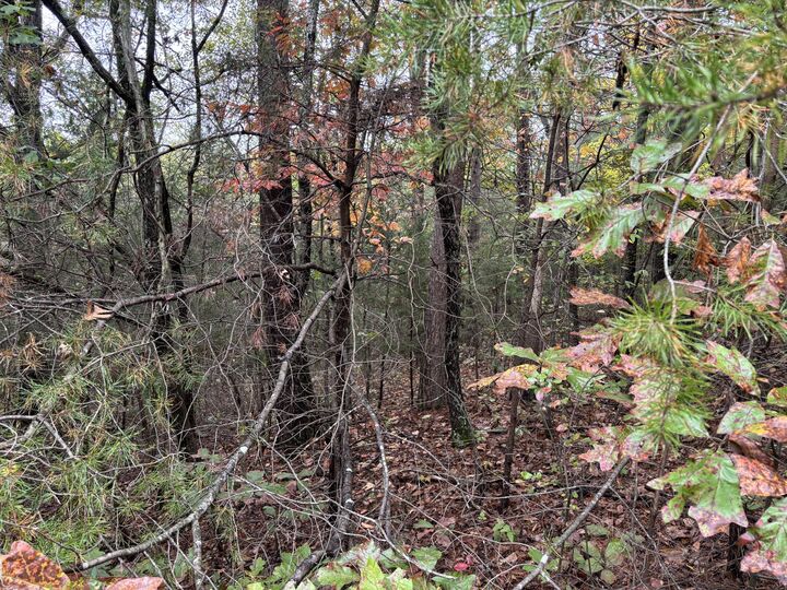 Property Photo: 3 Countryside Drive TN 37327