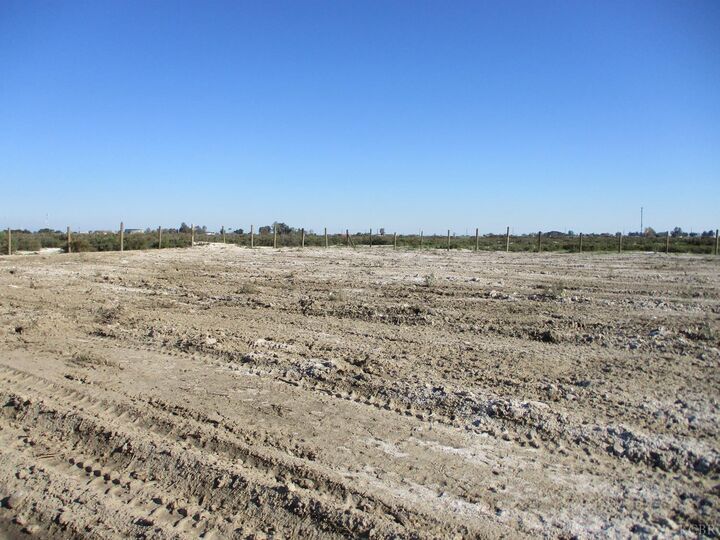 0 Jackson  Lemoore CA 93245 photo