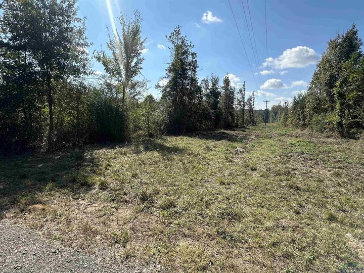 Tbd Fm 124  Beckville TX 75631 photo