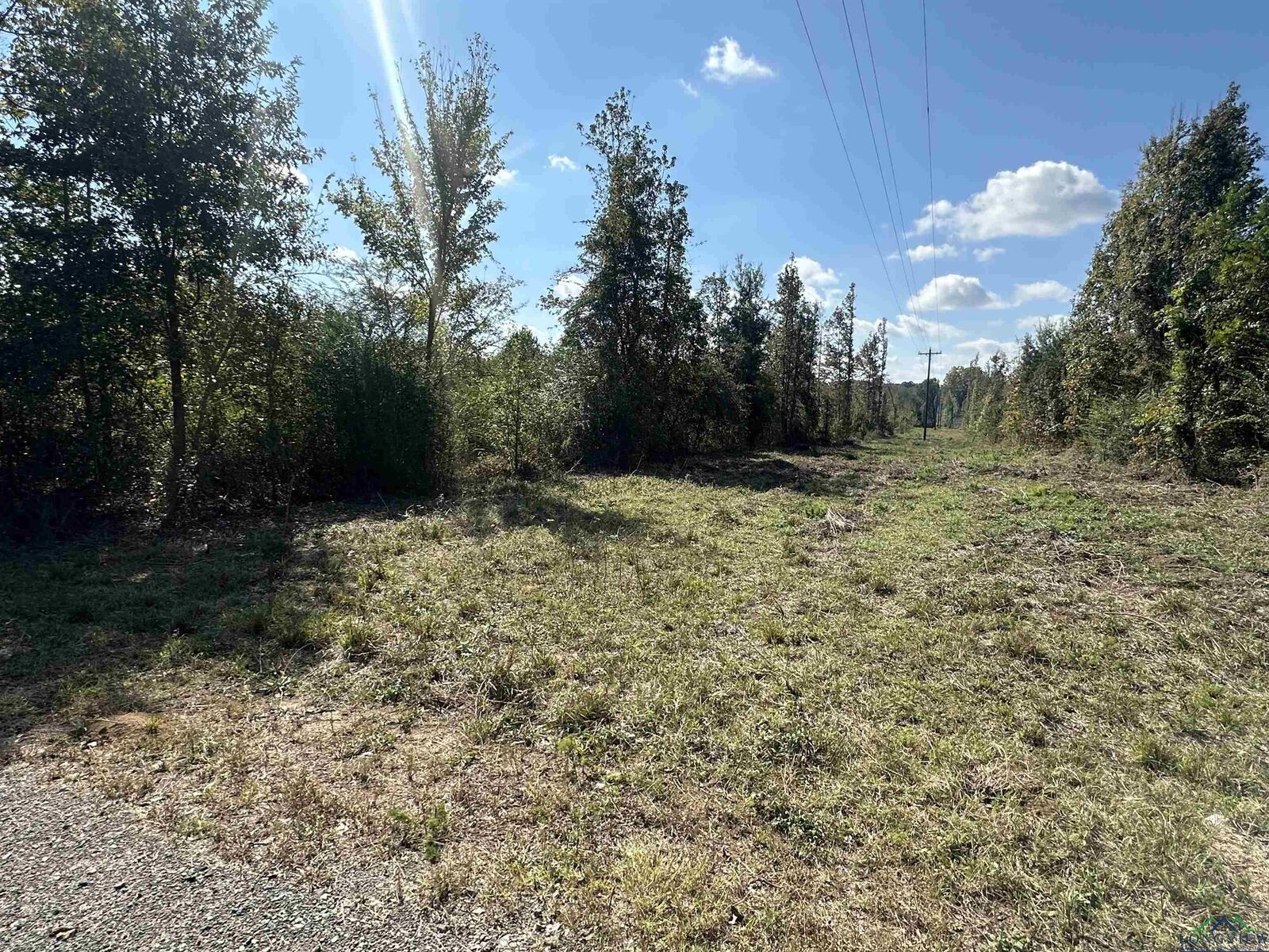 Property Photo:  Tbd Fm 124  TX 75631 