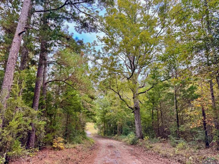 000 County Road 2367 Bethlehem Cemetery Rd.  Marietta TX 75566 photo