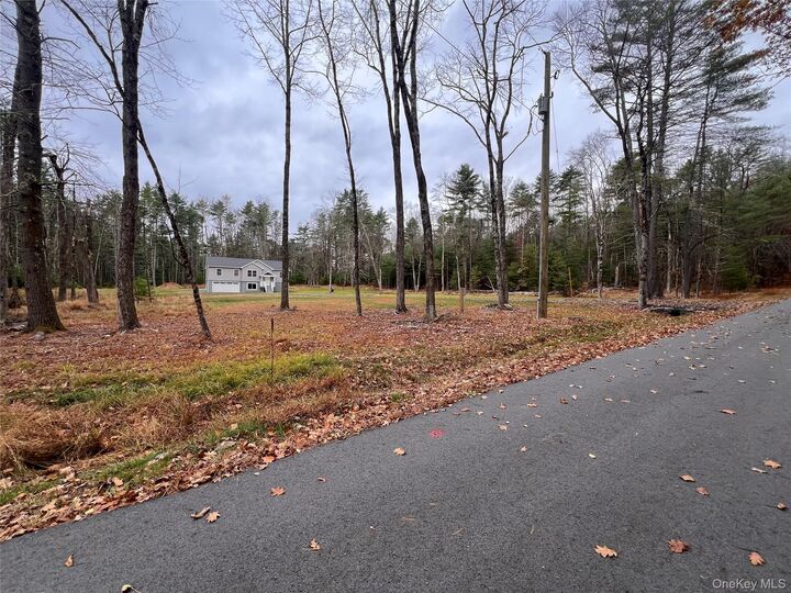 Property Photo: 26 Summit Drive NY 12719