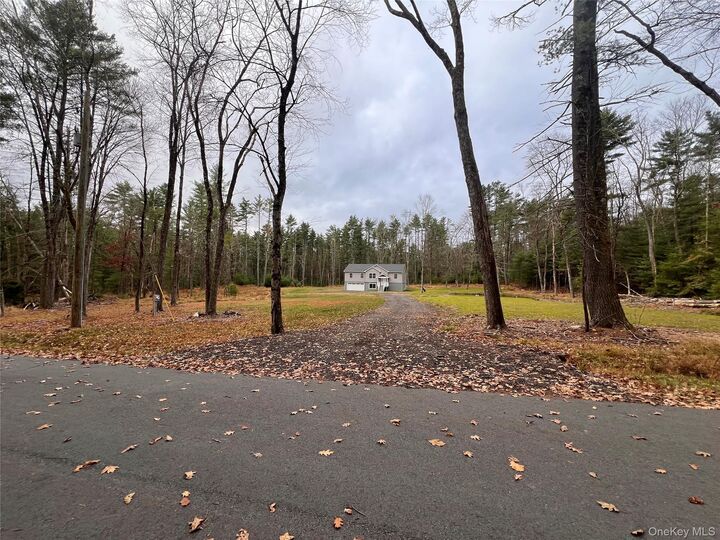 Property Photo:  26 Summit Drive  NY 12719 