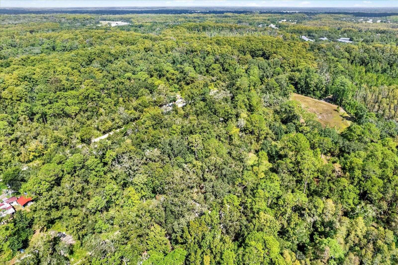 Property Photo: 0 Weldon Street FL 34654