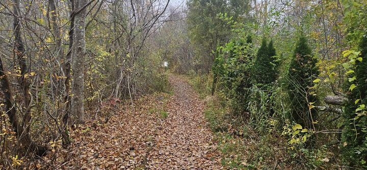 Property Photo: 4 Surfore Road ME 03909