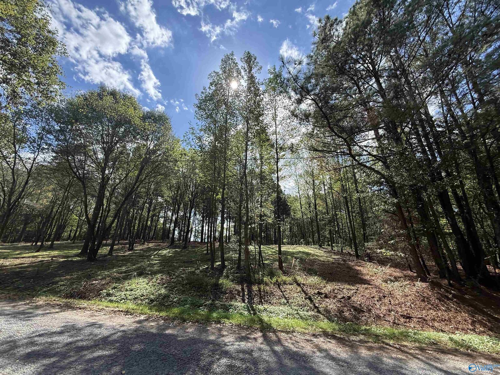 Property Photo:  #1A County Road 1123  AL 35179